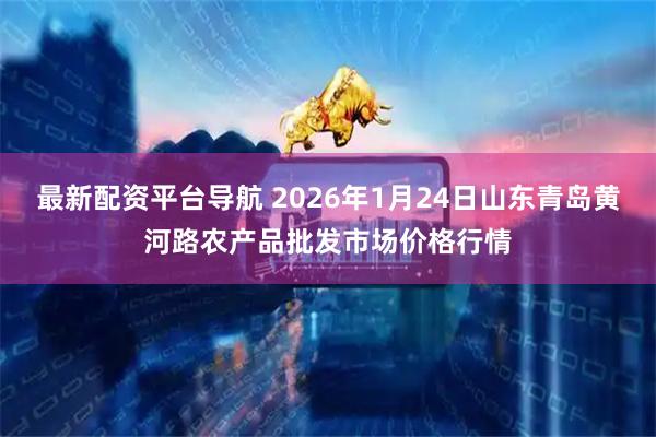 最新配资平台导航 2026年1月24日山东青岛黄河路农产品批发市场价格行情